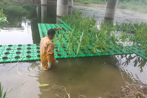 生态浮床施工