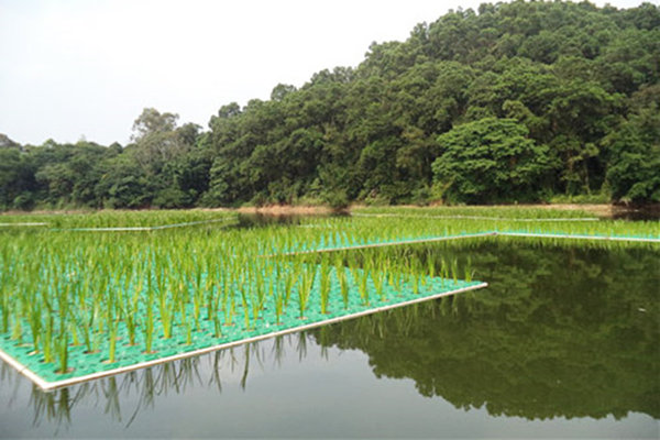 生态浮岛