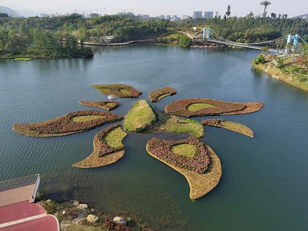 浮动湿地图片